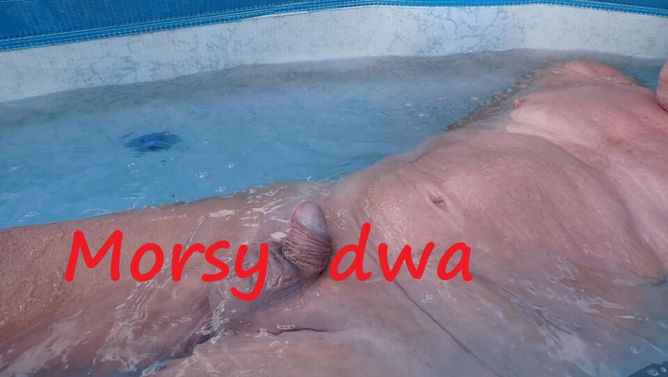 Koniec wakacji. - Morsy_dwa