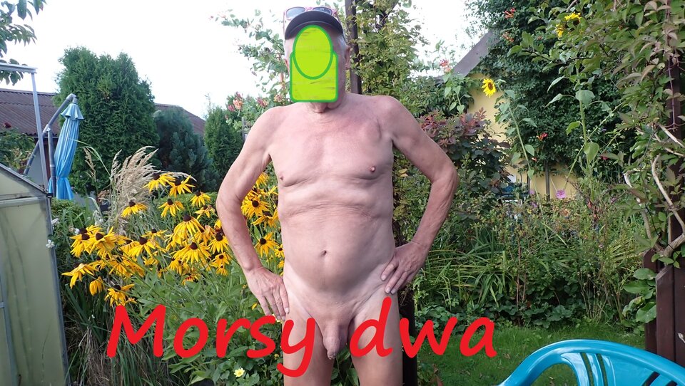 Koniec wakacji. - Morsy_dwa