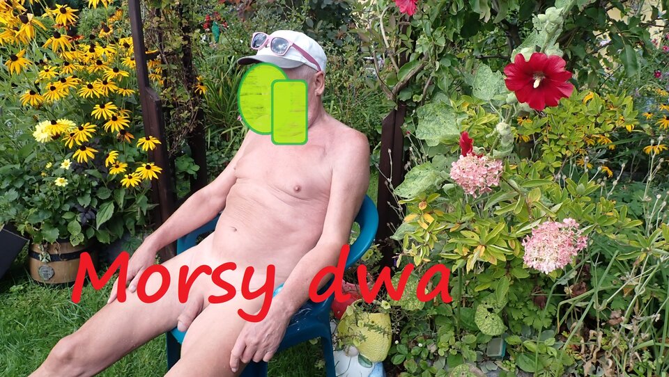 Koniec wakacji. - Morsy_dwa