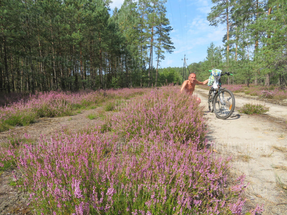 IMG_1888.JPG - nocnyszpieg