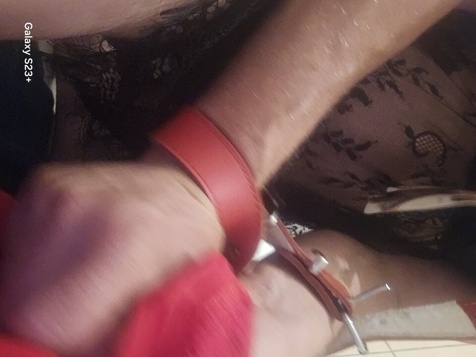 1000013629.jpg - translu