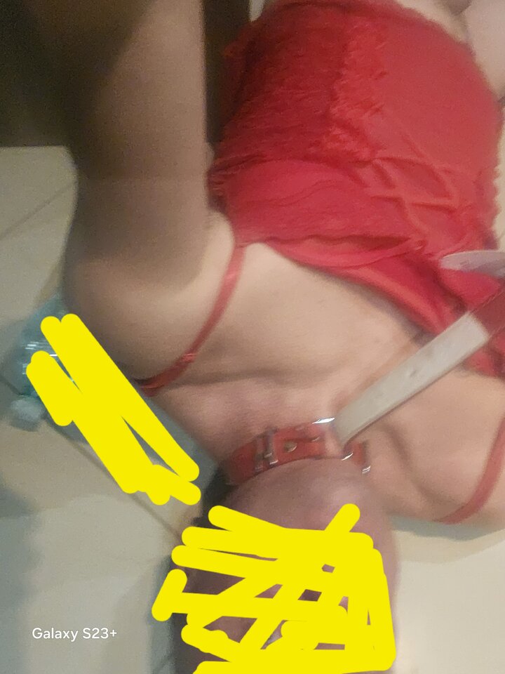 1000013663.jpg - translu