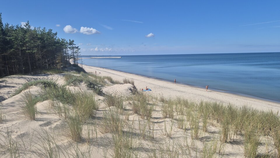 1000012520.jpg - dyskretnykosz