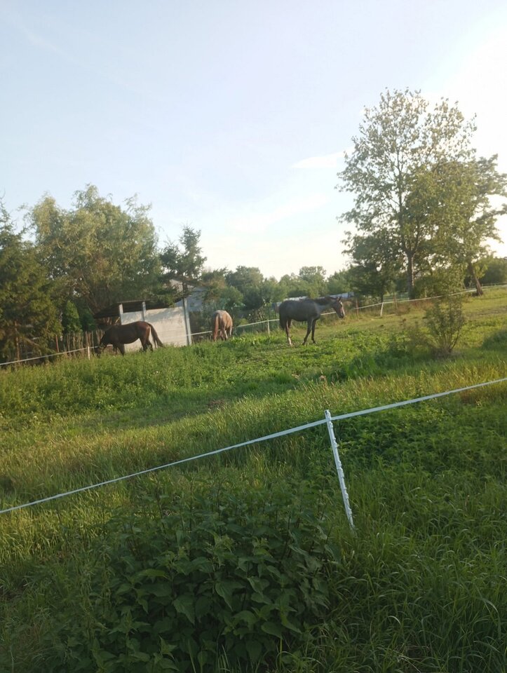 inbound8611512613767129641.jpg - erodateWacek