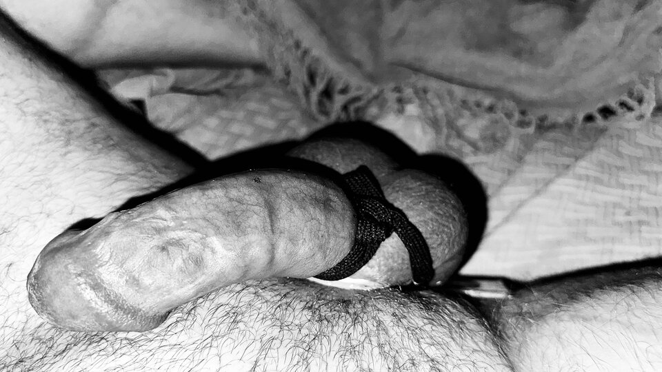 IMG_2855.jpeg - Simpson91