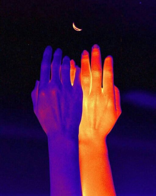 1000035786.jpg - Pronarrki