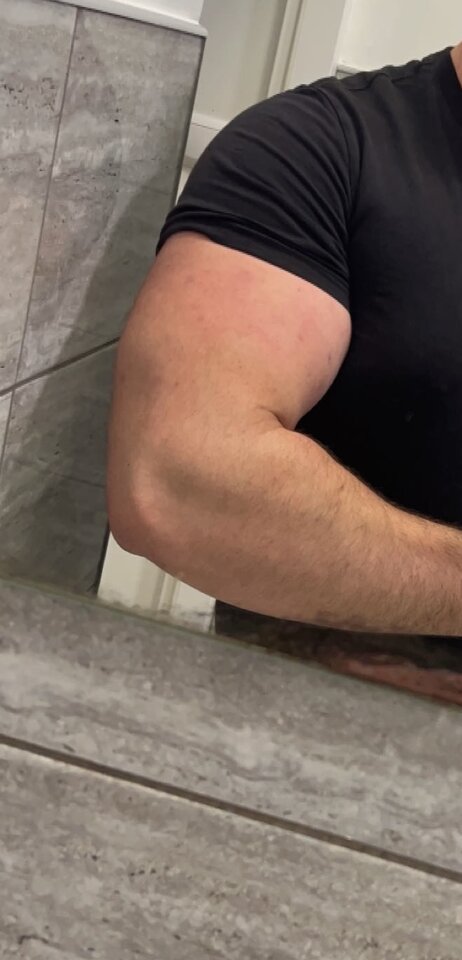 IMG_7727.jpeg - Boyfox2025