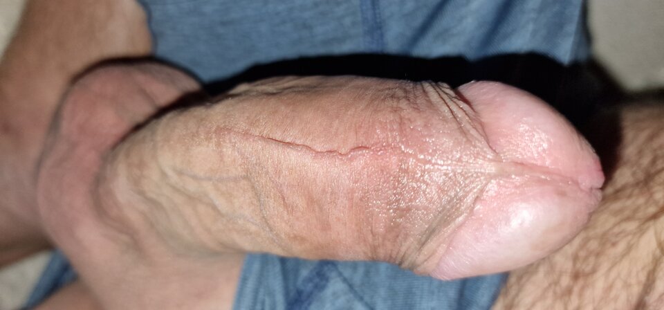 17567803903457172621757242546368.jpg - robin266