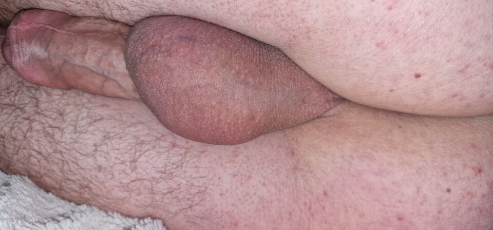 17567806795891494938865066340393.jpg - robin266