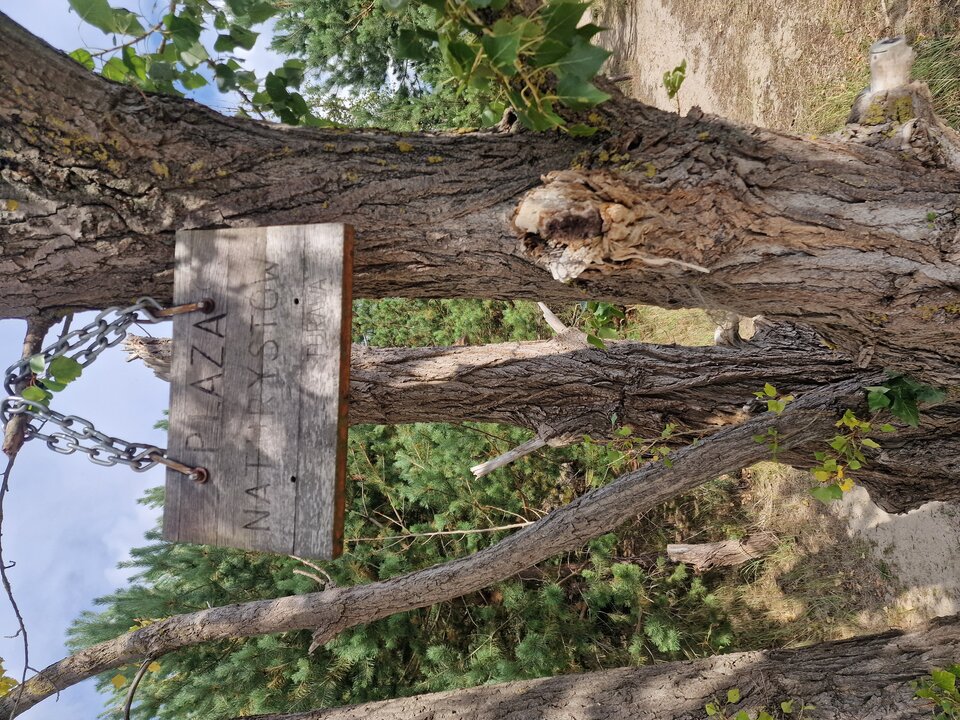 1000060792.jpg - Karlja11