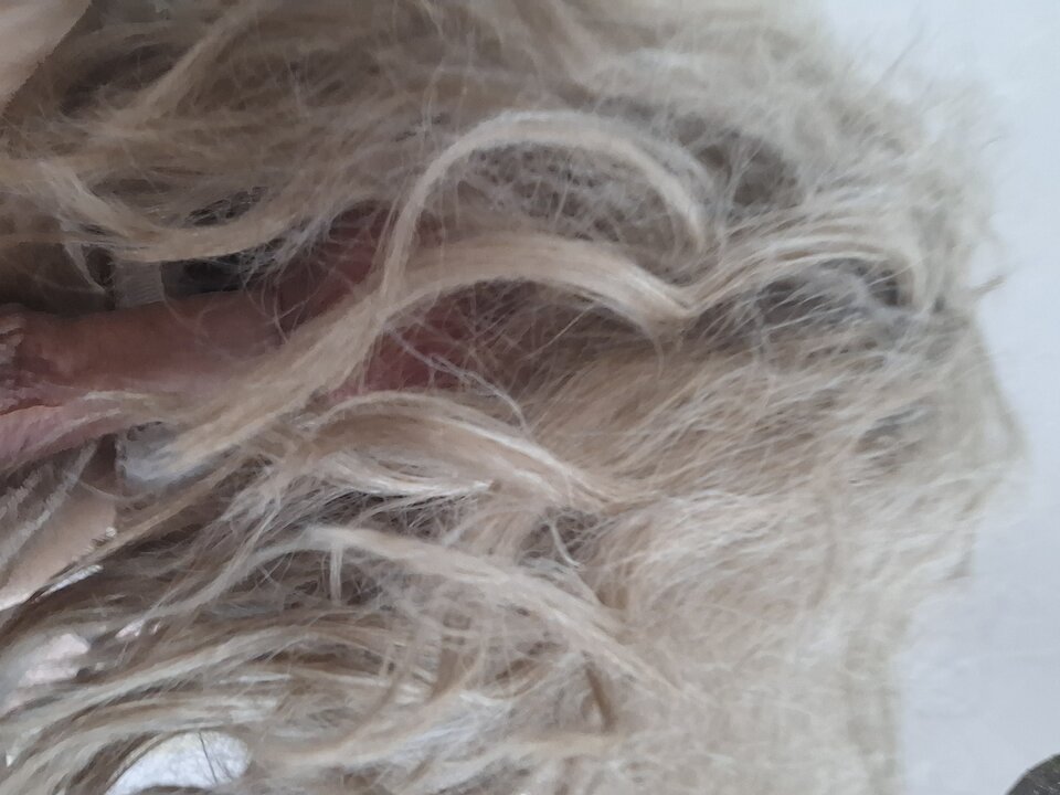 1000047826.jpg - Kasia1697