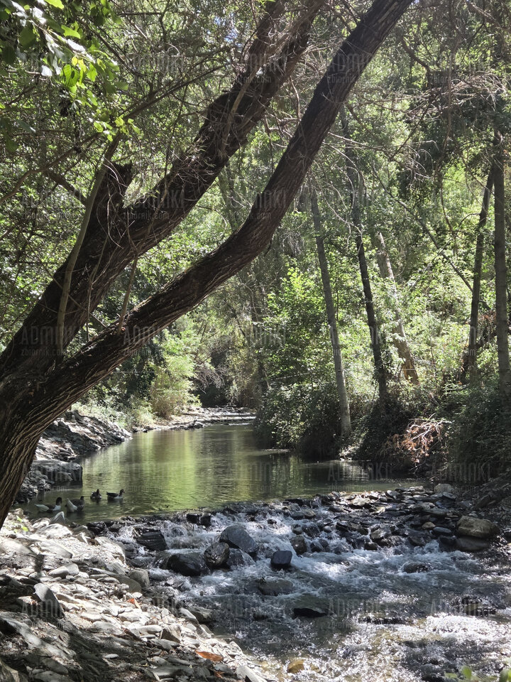 ❤️❤️❤️🇪🇦🇪🇦 - Adminki