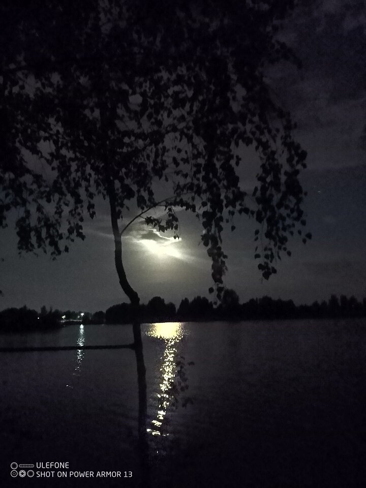 IMG_20250902_211503_898.jpg - franekmajor