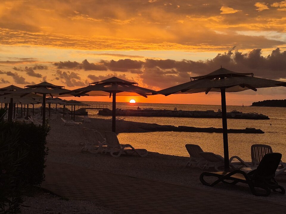 5b124257-3bd7-4722-8272-867cece0101c.jpeg - Alexhf