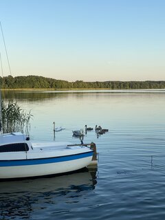 IMG_0336.jpeg