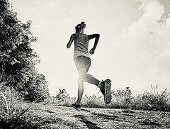 IMG_3072.jpeg