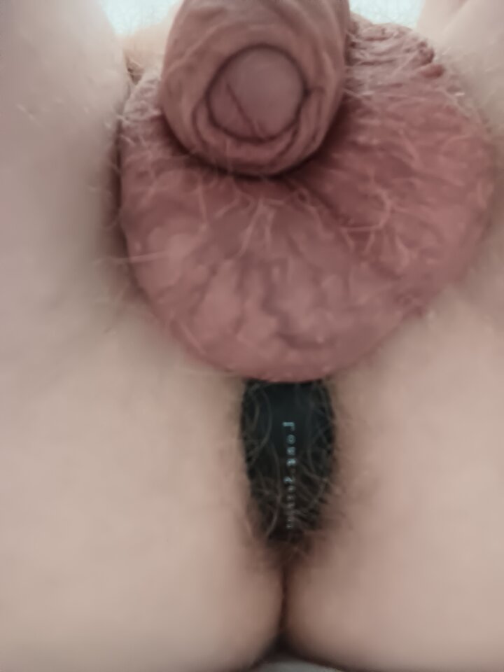 IMG_20250903_165026.jpg - Rajstopypl