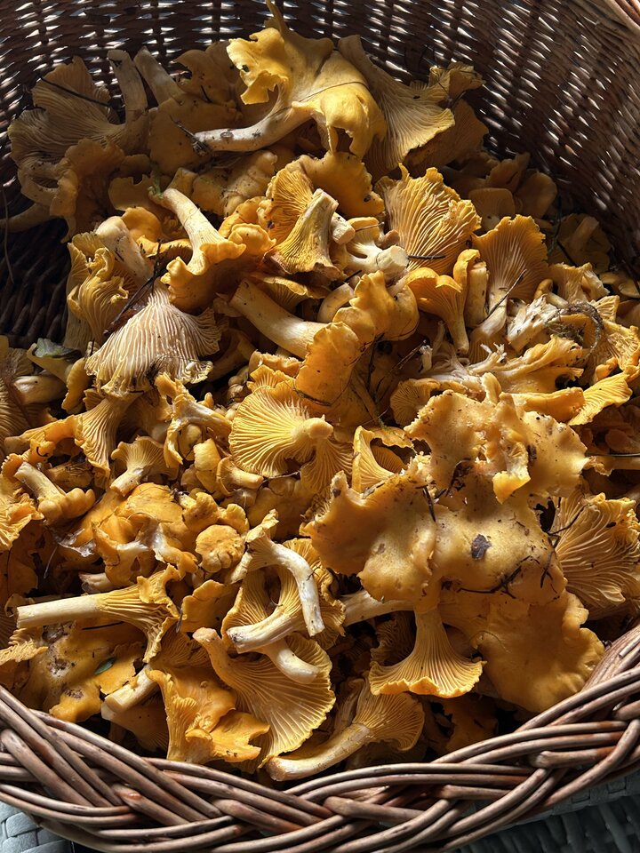 IMG_8704.jpeg - NaturystaXXX