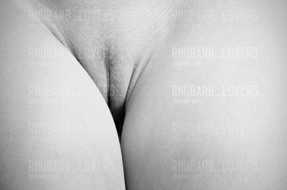 1000031224.jpg - rhubarb_lovers