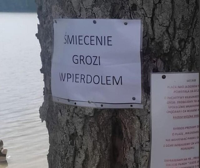 FB_IMG_1756920328559.jpg - STORCK