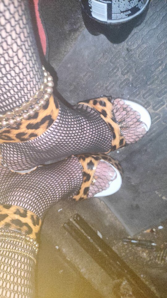 IMG20250830235652.jpg - paulstarkface