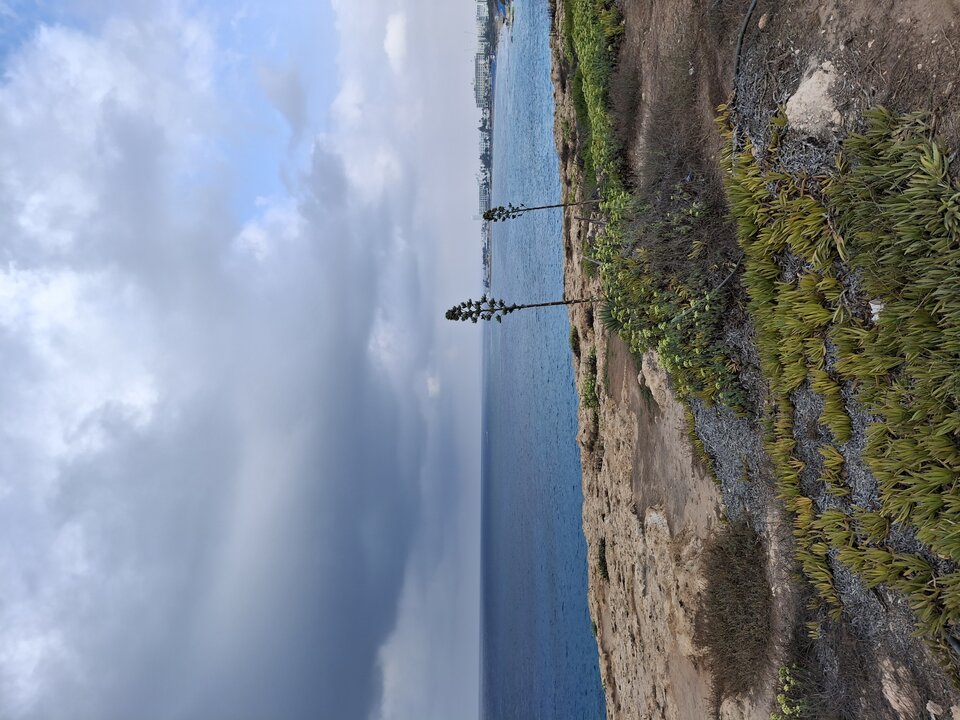 1000007061.jpg - Krzysk45