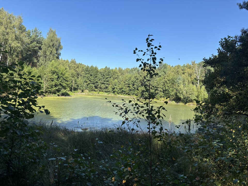 IMG_1835.jpeg - ananus