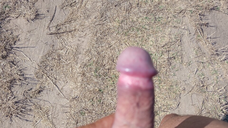 1000002202.jpg - miro960