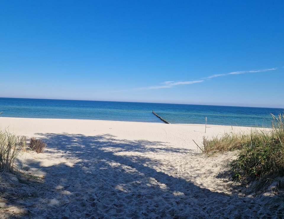 20250904_124235.jpg - Tygrusek1986