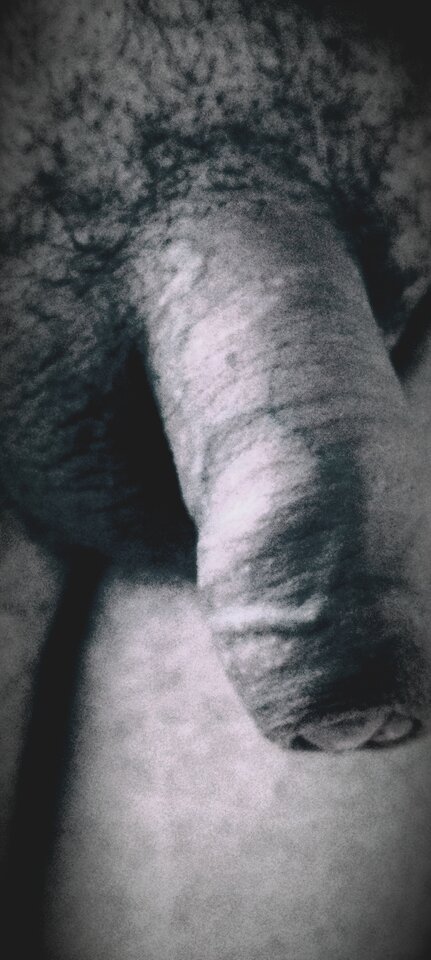 1000004081.jpg - teodor1754