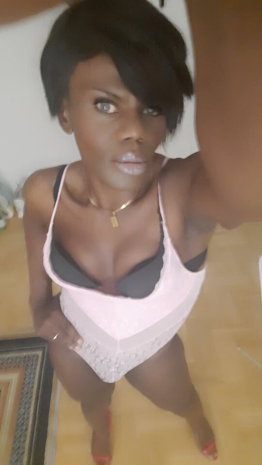 Snapchat-373120743.jpg - OniJegoTrans