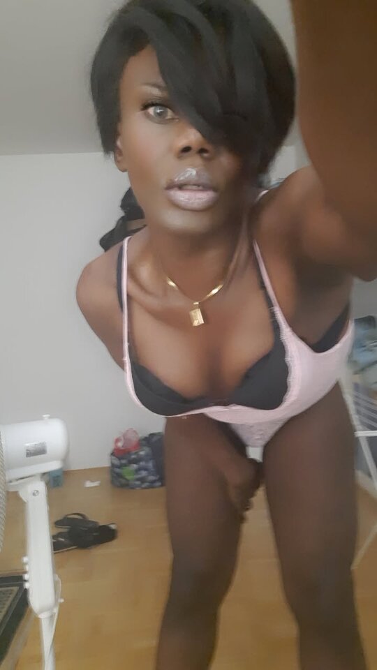 Snapchat-263457380.jpg - OniJegoTrans