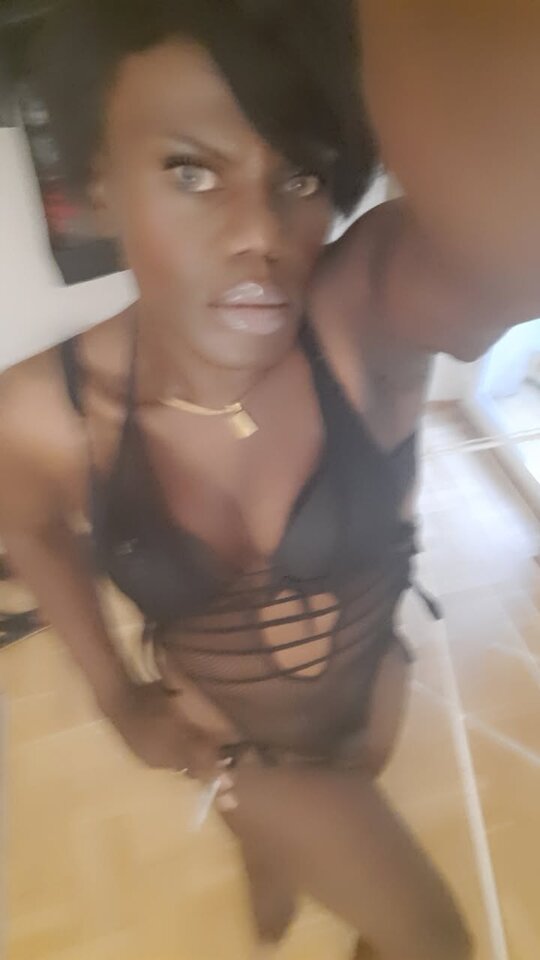 Snapchat-1767240449.jpg - OniJegoTrans