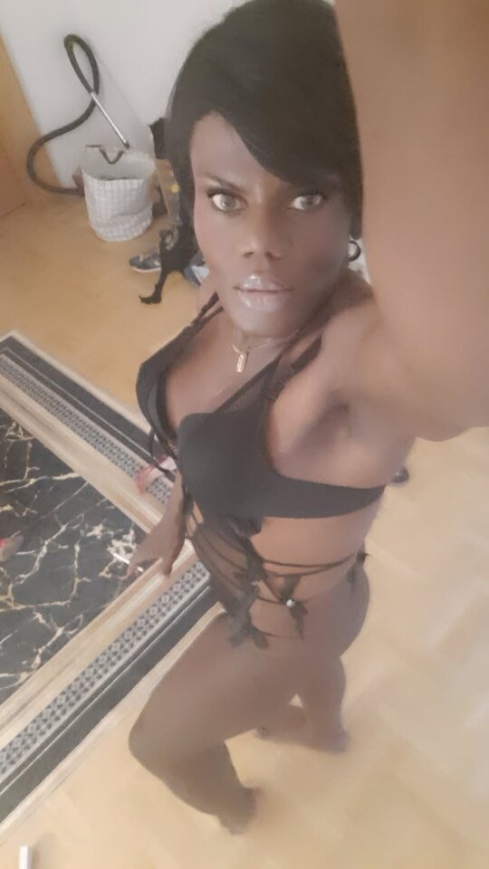 Snapchat-1187068068.jpg - OniJegoTrans