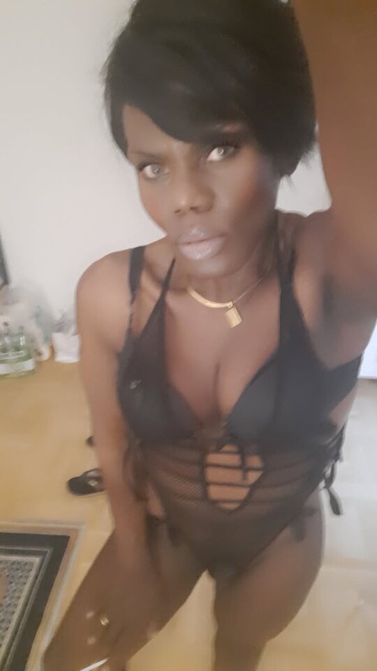 Snapchat-1948150469.jpg - OniJegoTrans