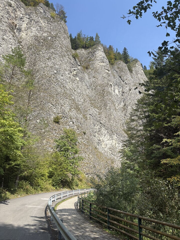 IMG_9153.jpeg - lovinglovers