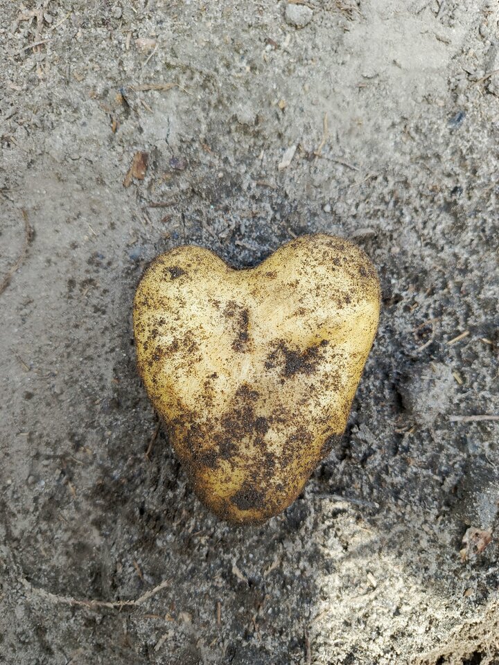 IMG_20250830_123446_988.jpg - Gregory48