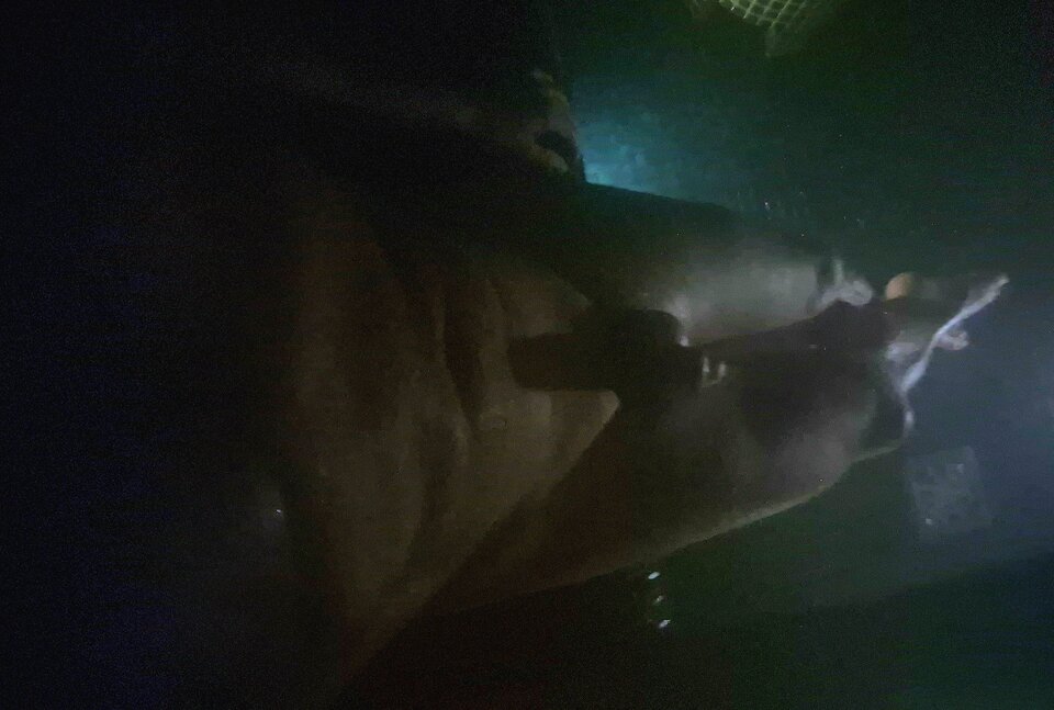 Sezon saunowy rozpoczęty...🫠🔥🔥🔥 - BlackjackBack