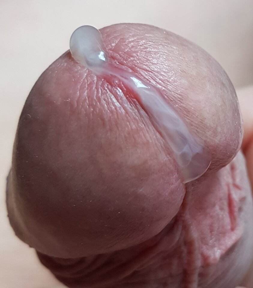 20250905_195311.jpg - Whitelittlecock