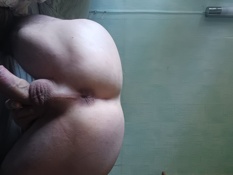 3ec70242-0d91-4fd9-b5f4-bd54471d3607-1_all_16386.jpg - Ghost1981