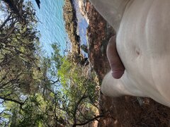 IMG_4242.jpeg