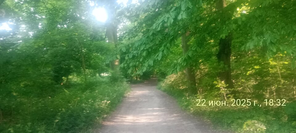 1000014784.jpg - Sergio12345