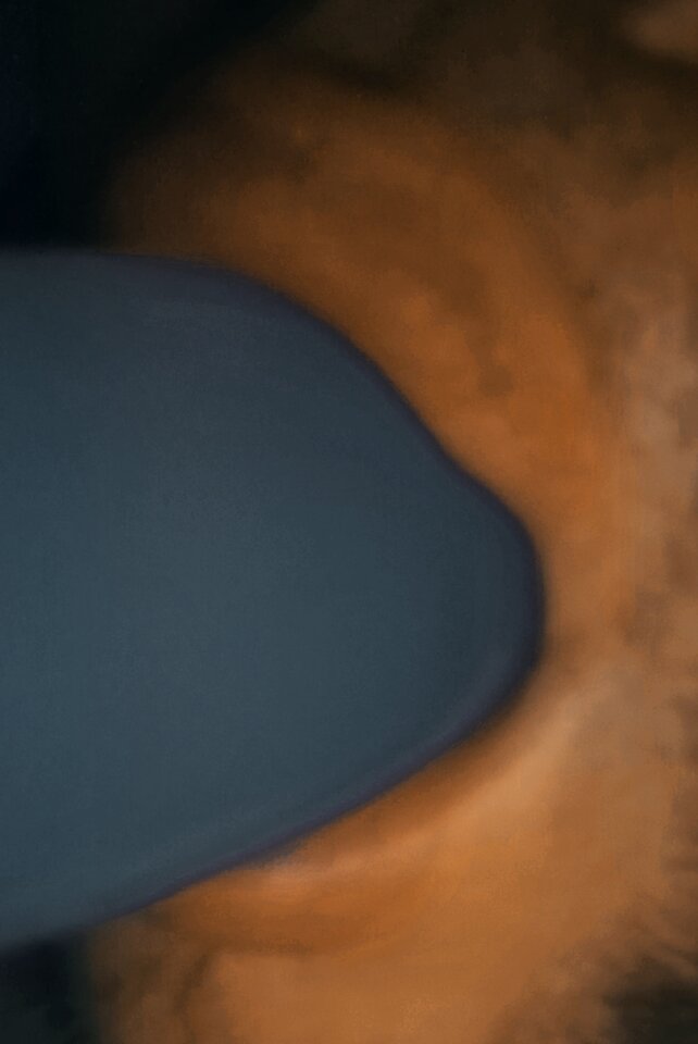 1000002346.jpg - HotBlasen