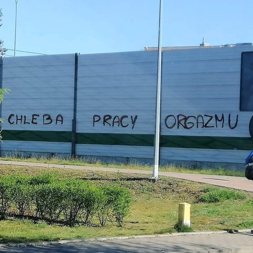 1000234515.jpg - Bixbit