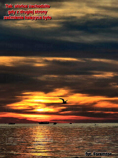 Dzień zaćmienia Księżyca .jpg