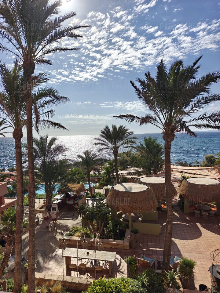 1000010033.jpg - pablopablof