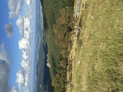 IMG_8706.jpeg