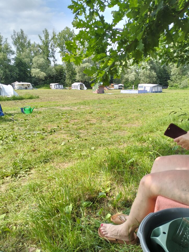 1000005031.jpg - Olszynka8072