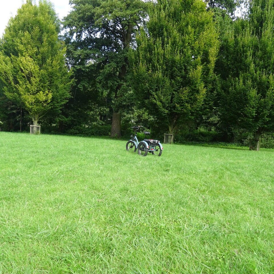 DSC04631.JPG - bojman8