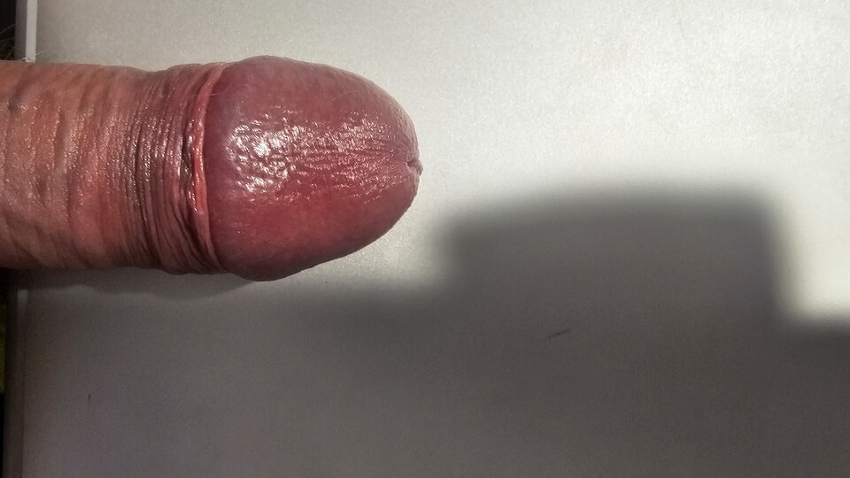 1000031727.jpg - dobry40latek